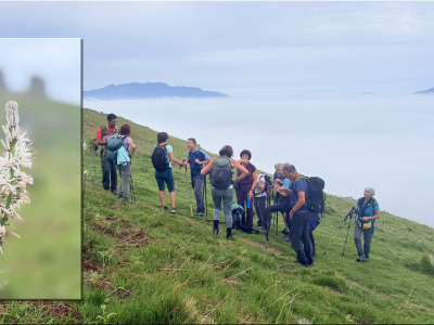 RB64-Munhoa, Munhogain et Oylarandoy