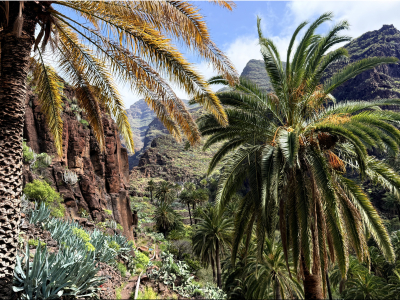 RB64-La Gomera (Canaries)