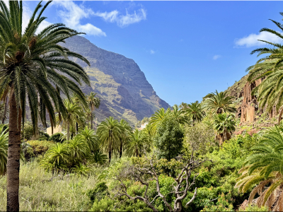 RB64-La Gomera (Canaries)