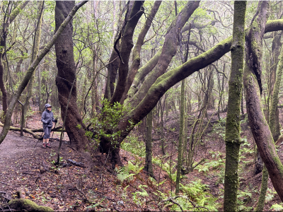 RB64-La Gomera (Canaries)