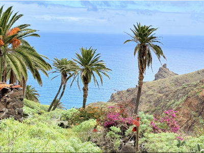 RB64-La Gomera (Canaries)