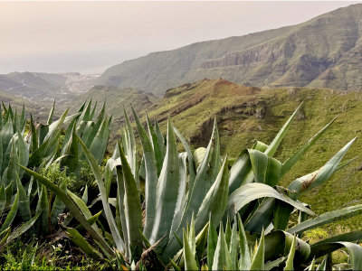 RB64-La Gomera (Canaries)